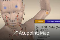 IAOMAI ACUPOINTS MAP -Atlante digitale di Agopuntura 