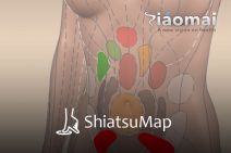 IAOMAI SHIATSUMAP -Atlante digitale per shiatsu