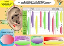 Scheda Auricoloterapia per tutti - Auricoloterapia nelle dipendenze