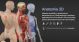 IAOMAI SHIATSUMAP -Atlante digitale per shiatsu