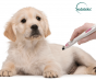 PREMIO 32 EVO-  Soft Laser terapeutico - versione per veterinaria