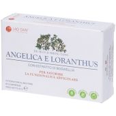 ANGELICA E LORANTHUS - du huo ji sheng tang